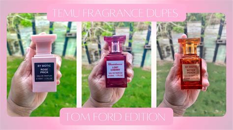 temu perfume dupes|temu fragrance dupes.